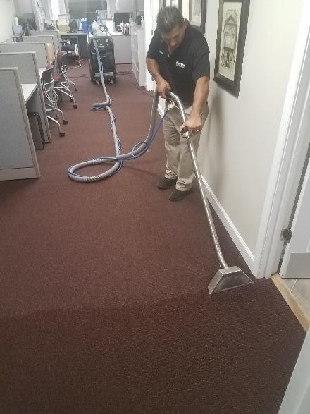 Mister Kleen employee cleaning a carpet